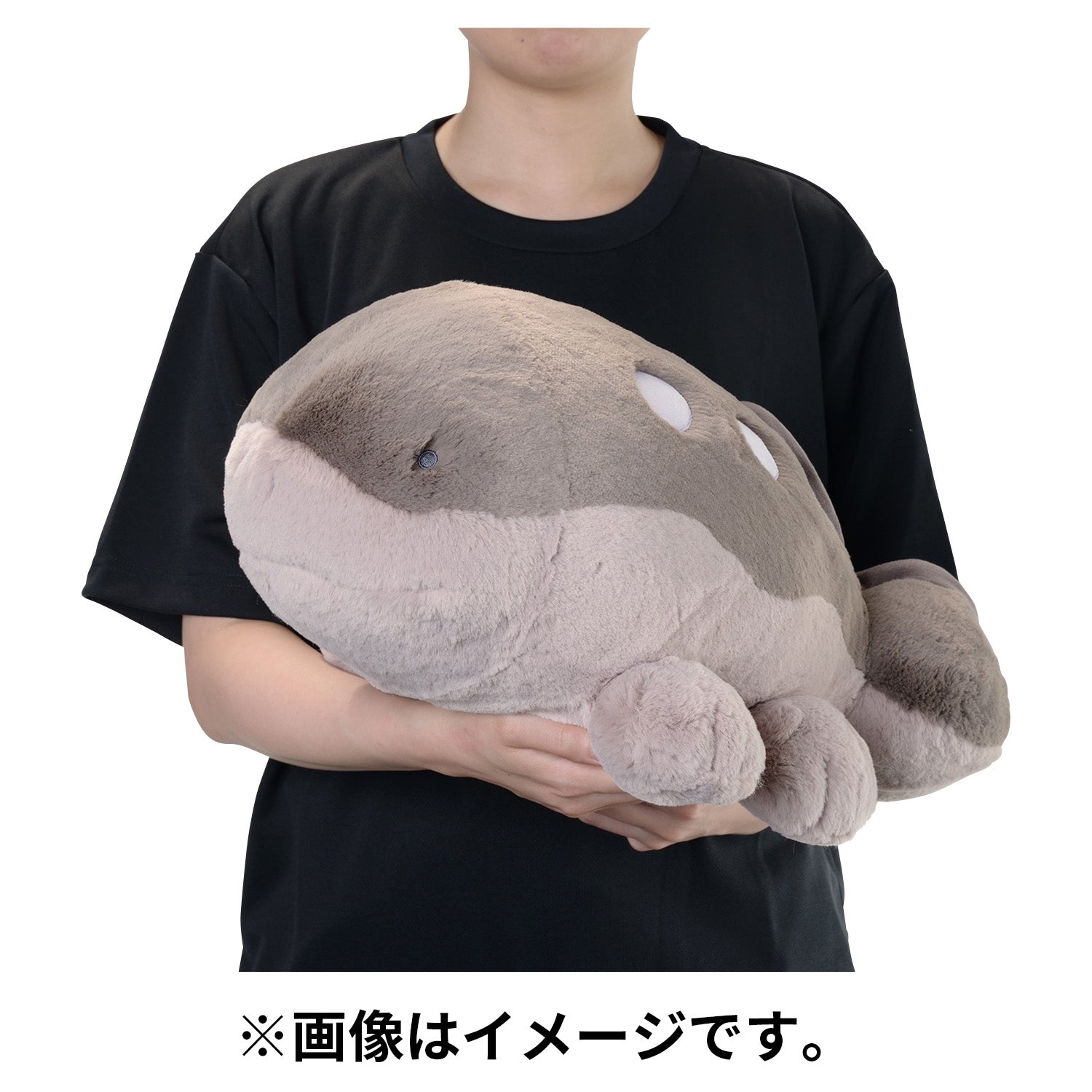 Pokemon Clodsire Comfy Friends Plush