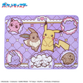 Pokemon Eevee & Pikachu fuwa&hug Blanket Sega Platinum Zakka