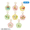 Pokemon Midarezaki Acrylic Keychains