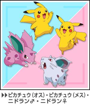 Pokemon Focus Nidoran Banpresto Plush Set